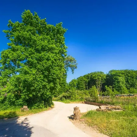 Espaces D'or Bed & Breakfast *