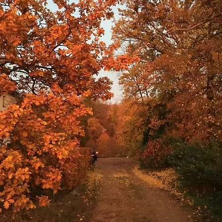 Espaces D'or Alojamento de Acomodação e Pequeno-almoço *