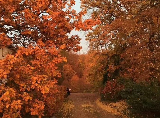 Espaces D'or Couette-café *